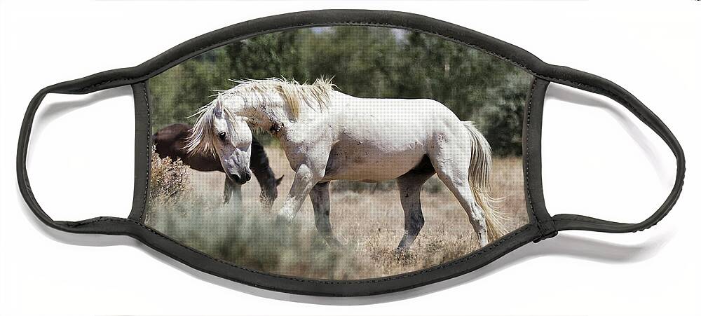 Horse Face Mask featuring the photograph Dominant Stallion by American Landscapes