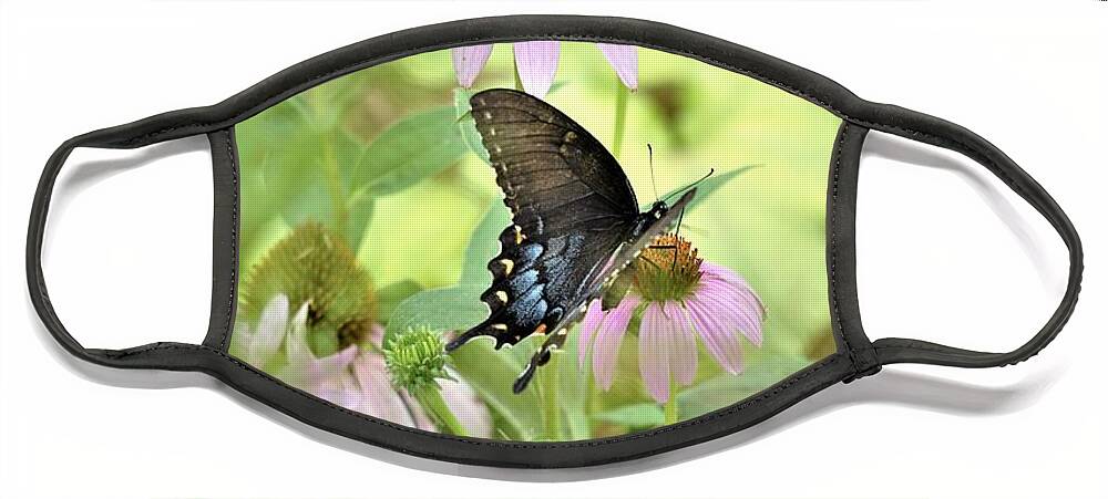 Black Swallowtail Face Mask featuring the photograph Down Under by Merle Grenz