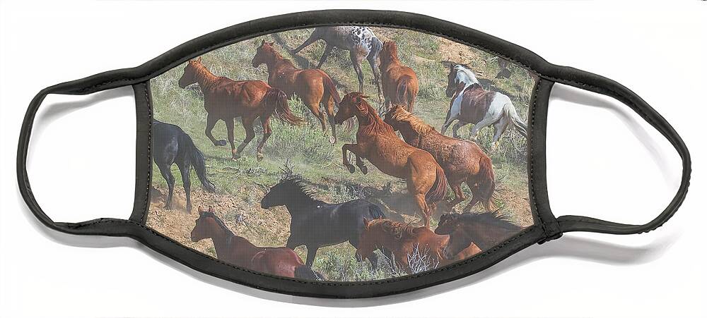 Running Horses Face Mask featuring the photograph Dust in the Wind by Jim Garrison