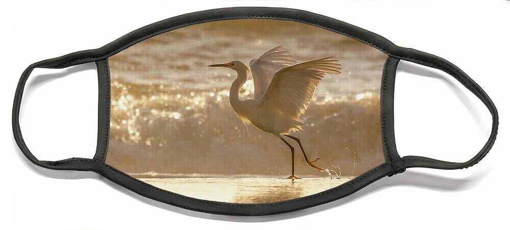 Snowy Egret Face Mask featuring the photograph Egret At The Beach On A Sunny Morning by Steven Sparks