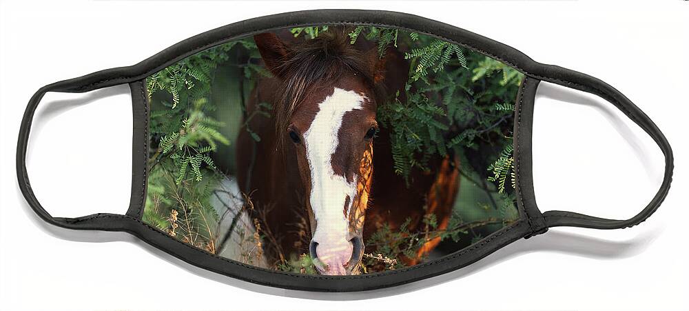 Mare Face Mask featuring the photograph Emerging by Shannon Hastings