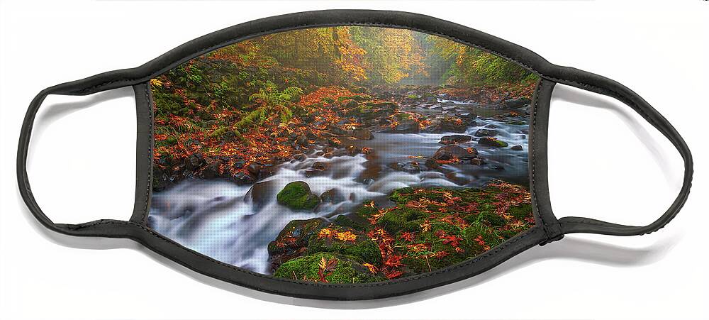 Fall Face Mask featuring the photograph Fall Fantasy 3 by Darren White