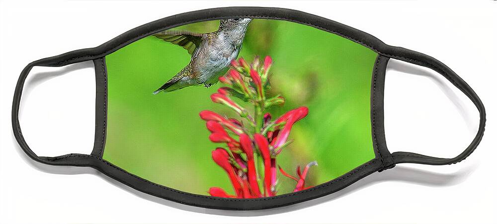 Nature Face Mask featuring the photograph Female Ruby-throated Hummingbird DSB0316 by Gerry Gantt