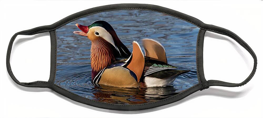 Mandarin Duck Face Mask featuring the photograph Ferdinand by Holly Ross