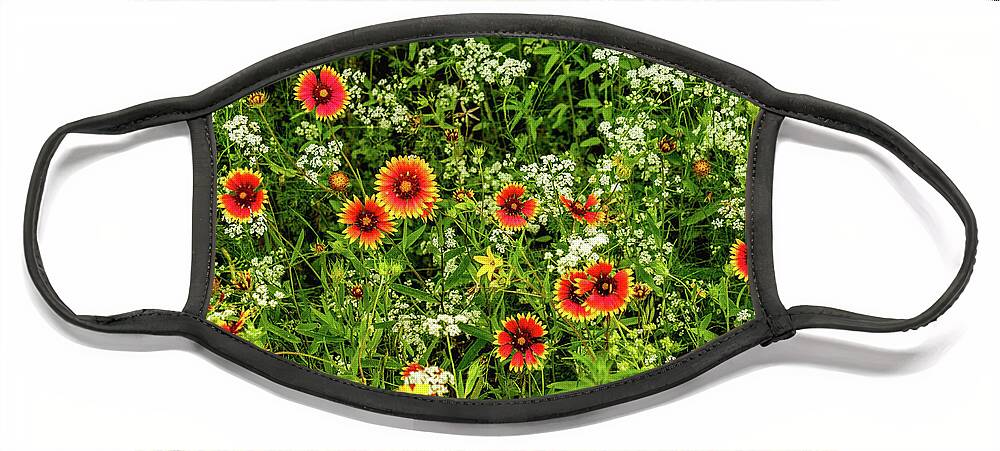 Texas Wildflowers Face Mask featuring the photograph Fire Wheels and Bishop's Weed by Johnny Boyd