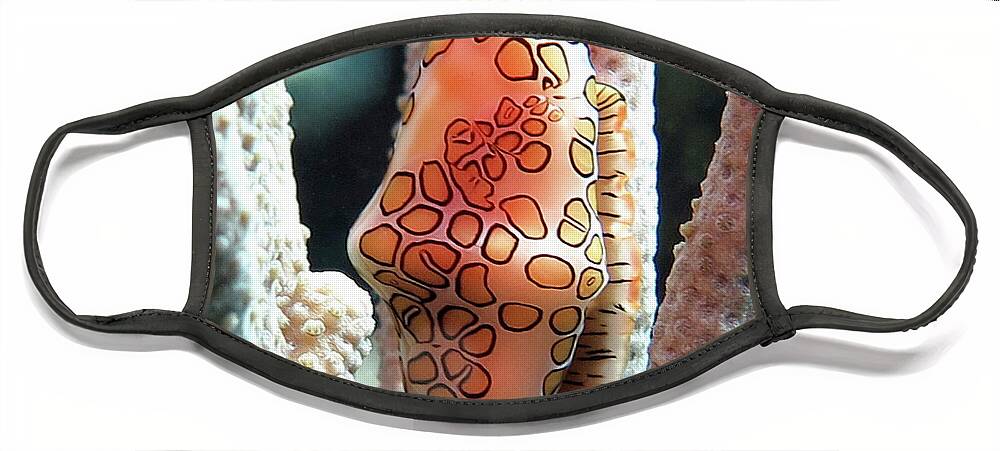 Underwater Face Mask featuring the photograph Flamingo Tongue 11 by Daryl Duda