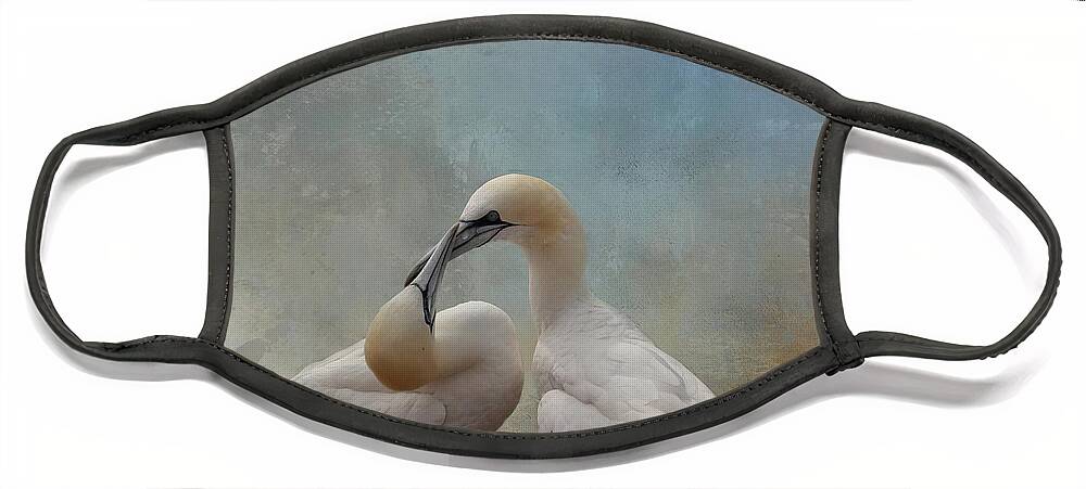 Northern Gannets Face Mask featuring the photograph Flirting by Eva Lechner