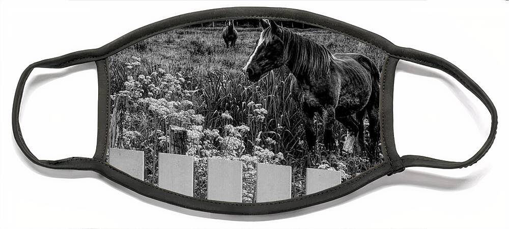 Barn Face Mask featuring the photograph Floral Farmland in Black and White by Debra and Dave Vanderlaan