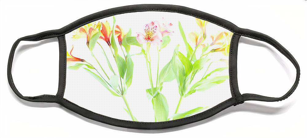 Floral Face Mask featuring the photograph Floral by Tanya C Smith