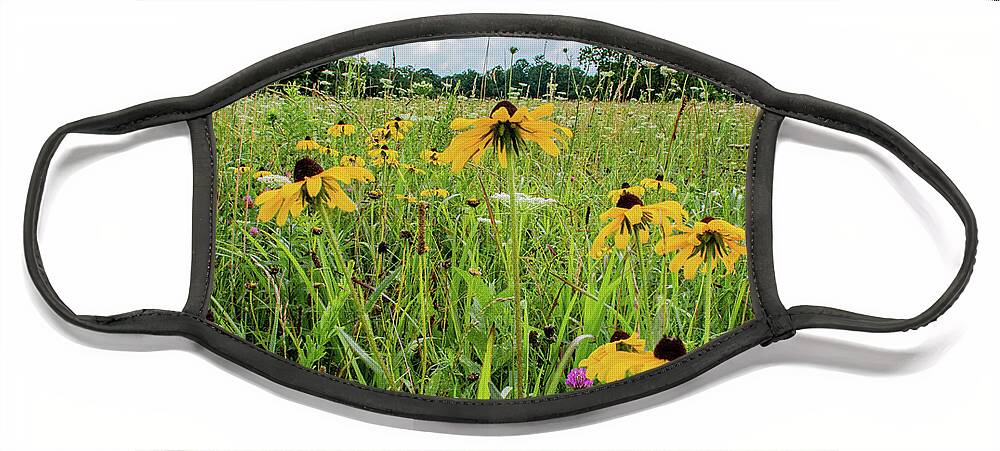 Clover Face Mask featuring the photograph Flowers of the Field, Cades Cove by Marcy Wielfaert