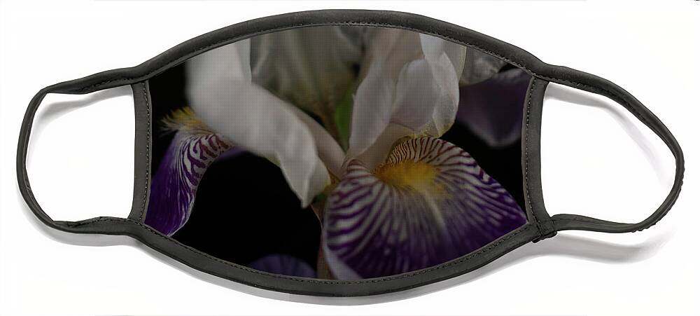 Iris Face Mask featuring the photograph Flowing Iris by Vicky Edgerly