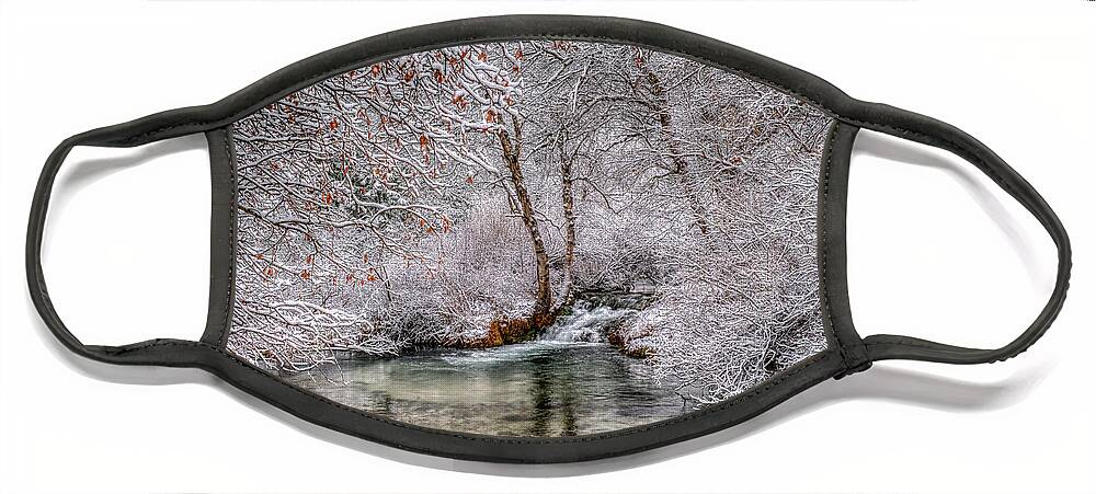 Frosty Face Mask featuring the photograph Frosty Pond by Fiskr Larsen