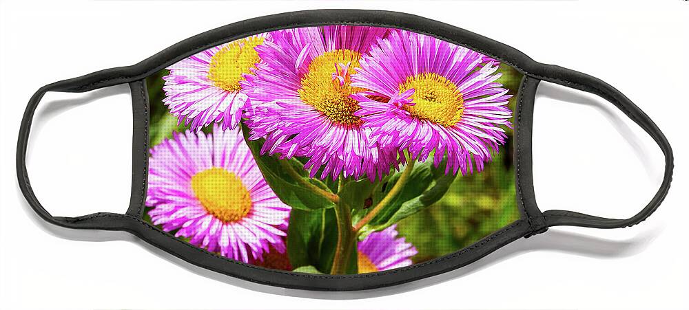 Flower Face Mask featuring the photograph Garden Flowers - 11 by Paul MAURICE