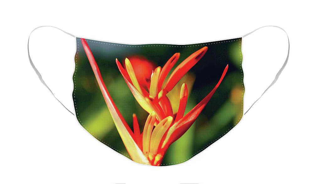 Heliconia Face Mask featuring the photograph Glowing Heliconia by Christine Chin-Fook
