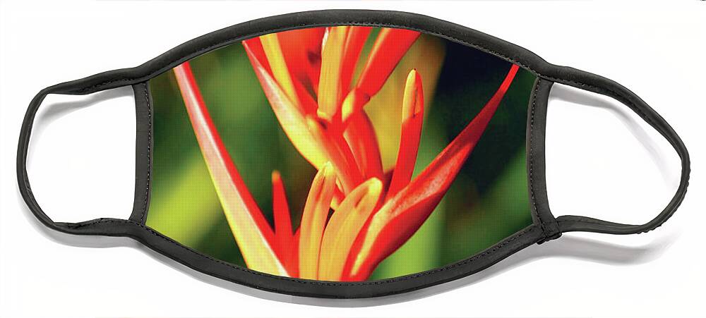 Heliconia Face Mask featuring the photograph Glowing Heliconia by Christine Chin-Fook