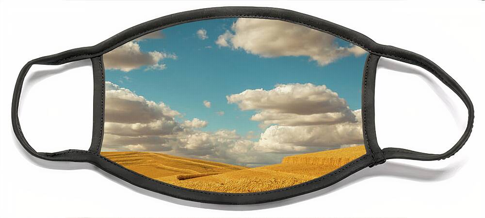 Landscapes Face Mask featuring the photograph Grains of Palouse by Claude Dalley