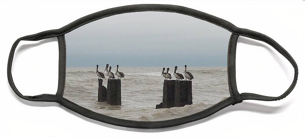Water Face Mask featuring the photograph Gray Day over the Gulf by Jerry Connally