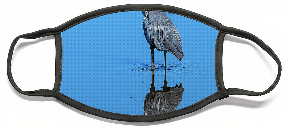 Nature Face Mask featuring the photograph Great Blue Heron DMSB0166 by Gerry Gantt