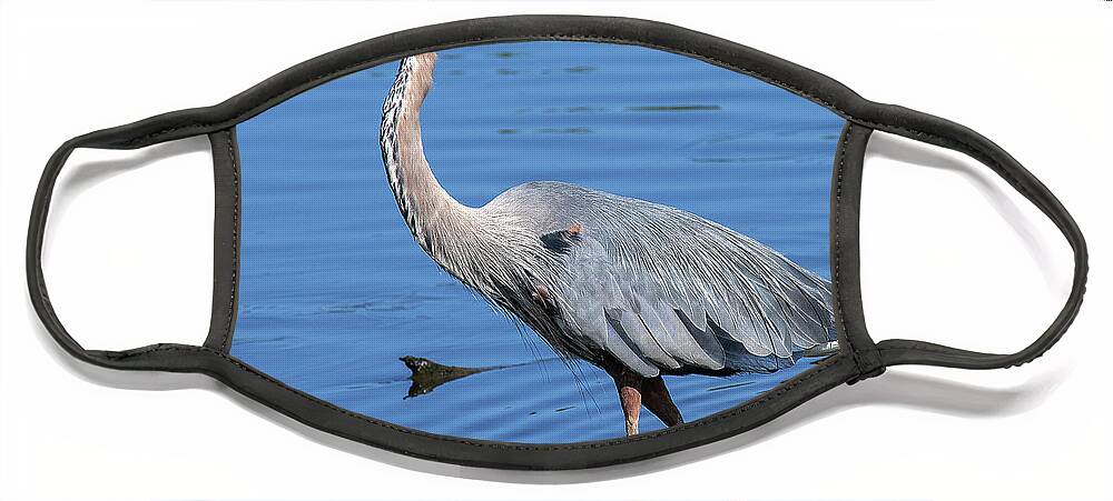 Nature Face Mask featuring the photograph Great Blue Heron DMSB0167 by Gerry Gantt