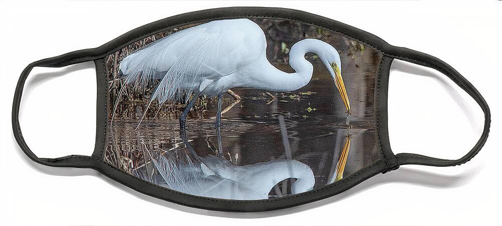 Nature Face Mask featuring the photograph Great Egret in Breeding Plumage DMSB0154 by Gerry Gantt