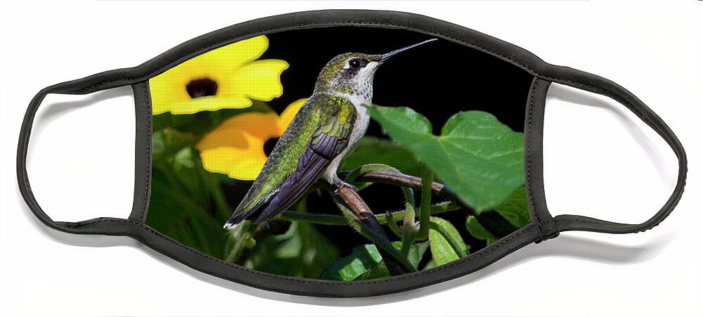 Hummingbird Face Mask featuring the photograph Green Garden Jewel by Christina Rollo