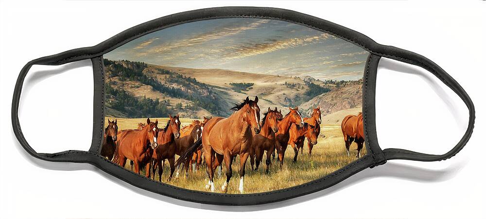 Ranch Face Mask featuring the photograph Greener Pastures by Phyllis Burchett