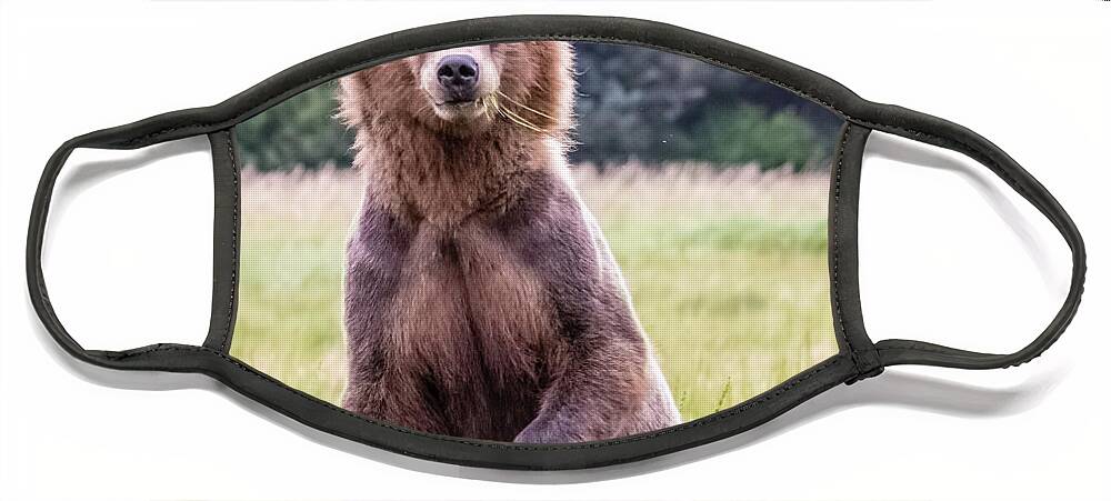 Grizzly Face Mask featuring the photograph Grizzly bear standing by Lyl Dil Creations