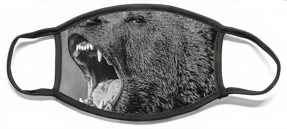 Disk1215 Face Mask featuring the photograph Grizzly Bear Calling by Tim Fitzharris