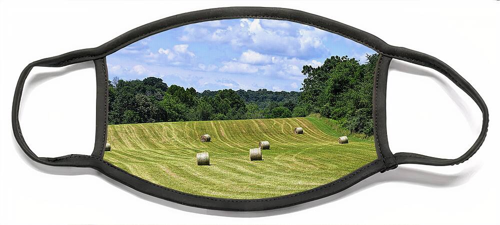 Hay Face Mask featuring the photograph Hay Fields of Virginia by Kerri Farley