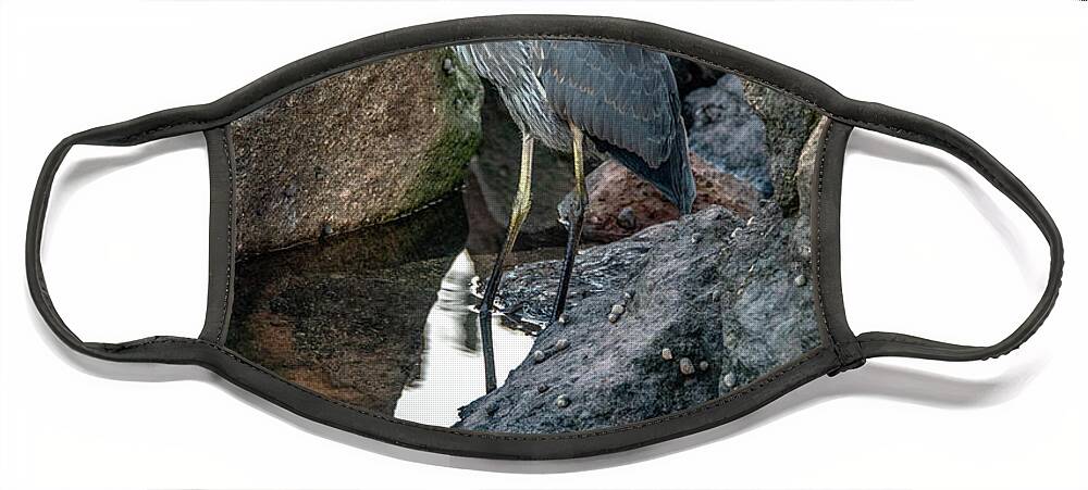 Great Blue Heron Face Mask featuring the photograph Heron Reflections, Vertical by Marcy Wielfaert