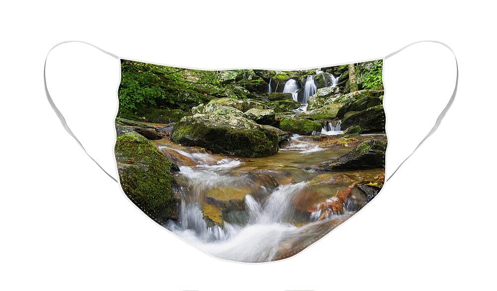 Waterfall Face Mask featuring the photograph Hogcamp Branch Falls I by William Dickman