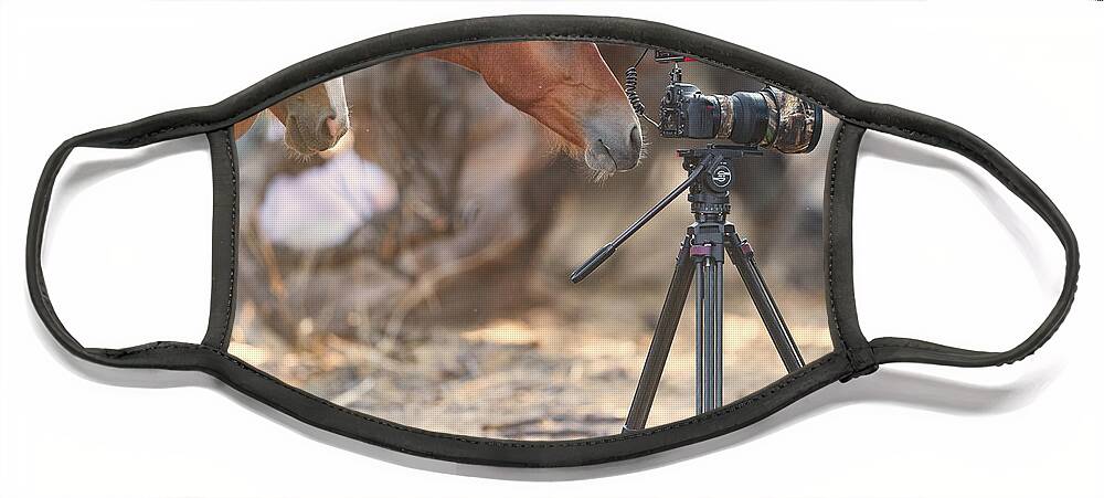 Salt River Wild Horses Face Mask featuring the photograph Horse Photographer by Shannon Hastings
