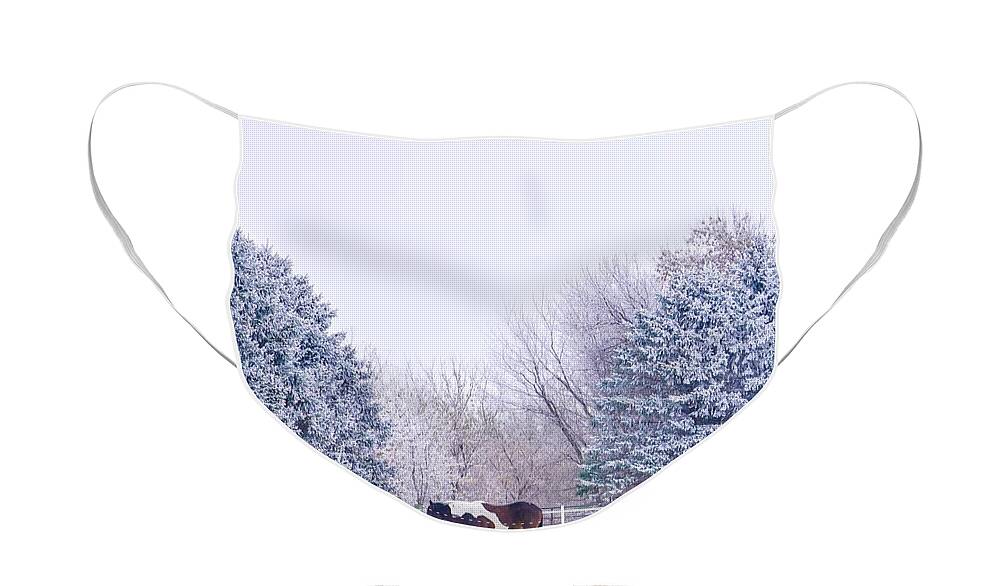 Minnesota Face Mask featuring the photograph Horses in the Snow by Susan Rydberg