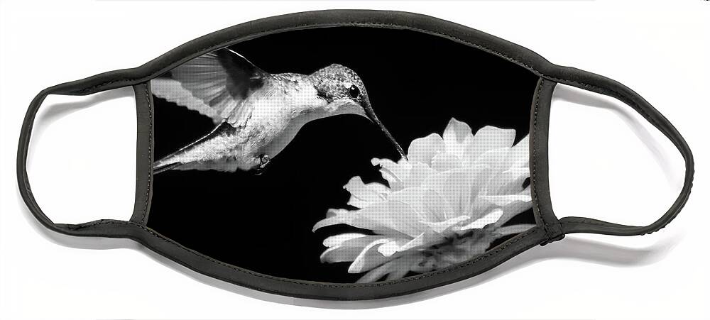 Hummingbird Face Mask featuring the photograph Hummingbird And Flower Black And White by Christina Rollo