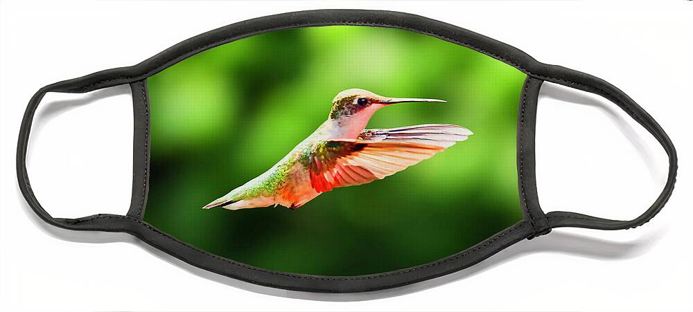 Female Ruby Throat Face Mask featuring the photograph Hummingbird Flying by Meta Gatschenberger