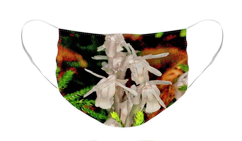 Macro Photography Face Mask featuring the photograph Indian Pipes On Club Moss by Meta Gatschenberger