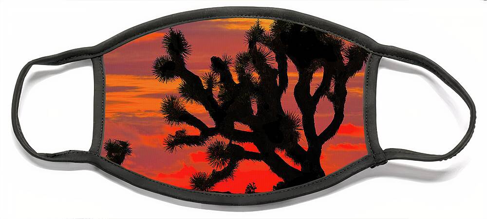 Arid Climate Face Mask featuring the photograph Joshua Tree at Sunset by Jeff Goulden