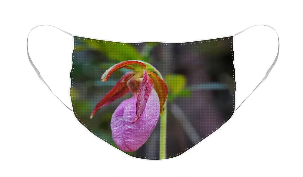 Macro Photography Face Mask featuring the photograph Lady Slipper Orchid by Meta Gatschenberger