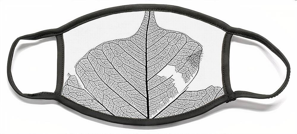 Leaf Face Mask featuring the photograph Leaf Without Color by Christopher Johnson