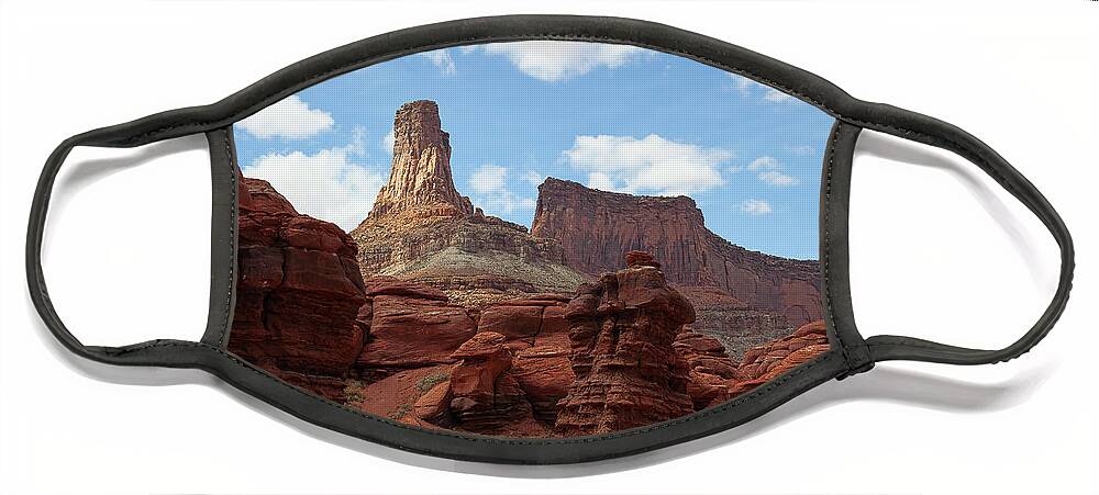 Canyonlands Face Mask featuring the photograph Let the Chips Fall by Jim Garrison