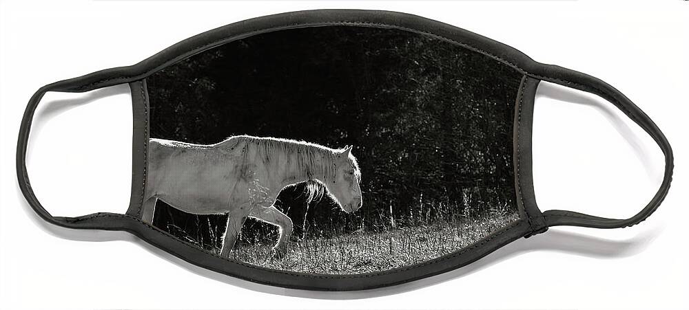 Horse Face Mask featuring the photograph Life is an Uphill Battle by Holly Ross