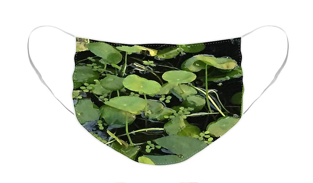 Lily Pads Face Mask featuring the photograph Lily Pads by Tom Johnson