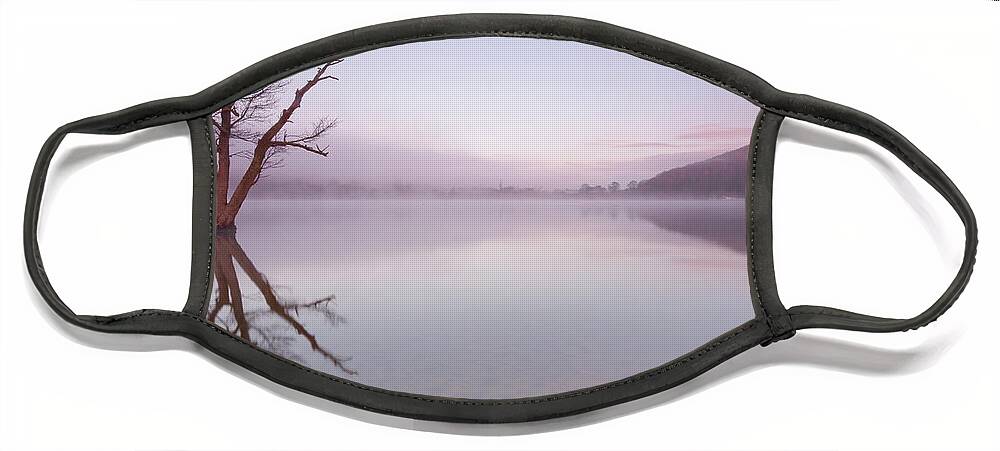 Landscape Face Mask featuring the photograph Lone dead tree in the Lake by Anita Nicholson