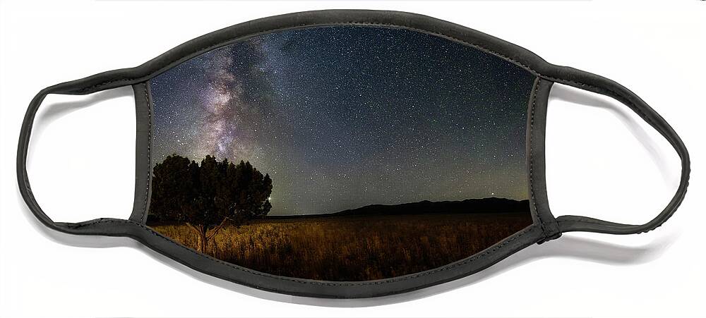 Tree Face Mask featuring the photograph Lone Tree and Milky Way by Michael Ash