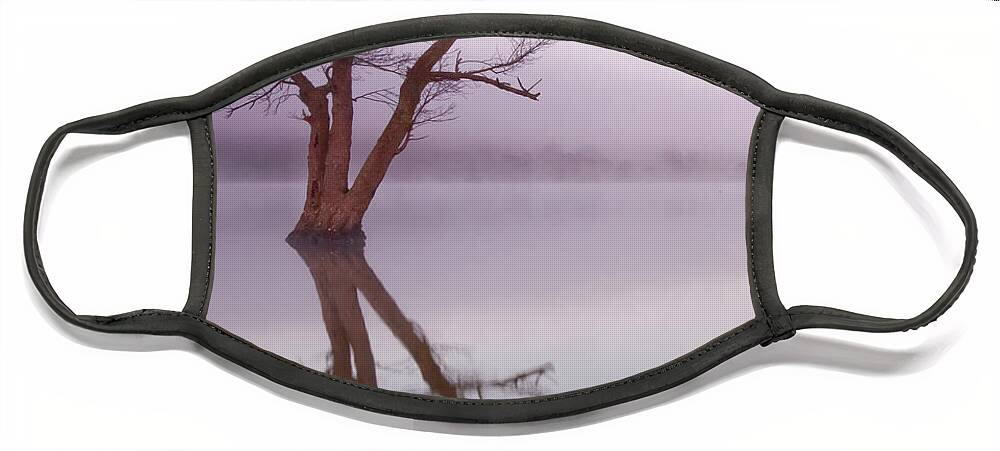 Landscape Face Mask featuring the photograph Lone tree in still lake in the mist at sunrise by Anita Nicholson