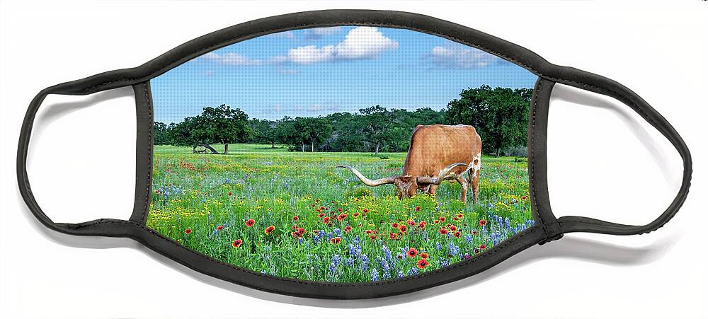 Texas Wildflowers Face Mask featuring the photograph Longhorn In Bluebonnets by Johnny Boyd