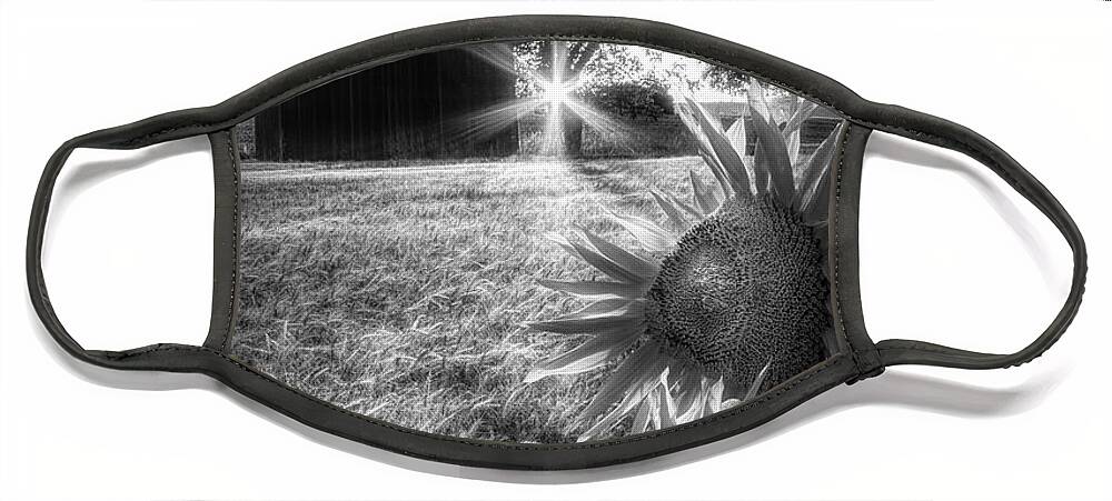 Barns Face Mask featuring the photograph Longing in Black and White by Debra and Dave Vanderlaan