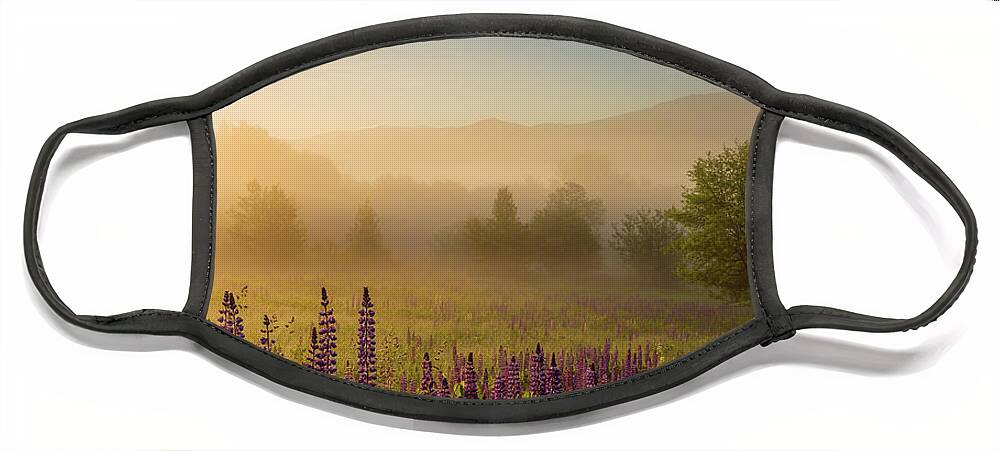 Amazing New England Artworks Face Mask featuring the photograph Lupine In The Fog, Sugar Hill, NH by Jeff Sinon
