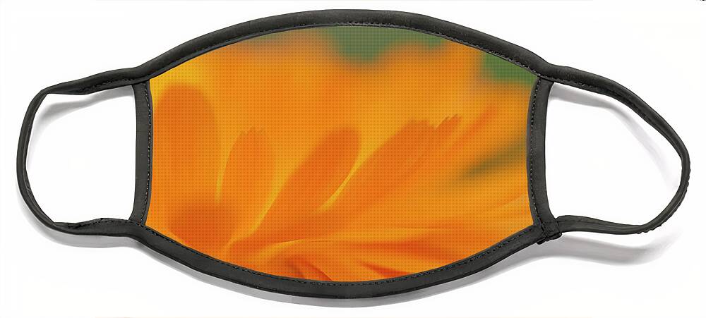 Macro Face Mask featuring the photograph Macro Orange 1 by Kathy Paynter