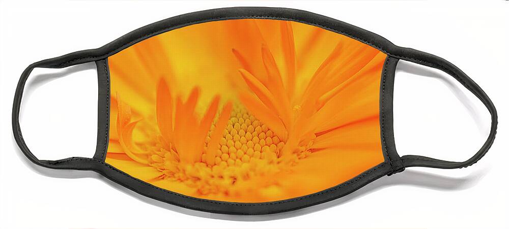 Macro Face Mask featuring the photograph Macro Orange 2 by Kathy Paynter